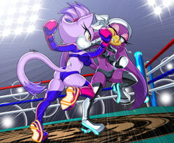 2girls anthro anthro_only arena ass bikini bird blaze_the_cat blue_eyes boots boxing boxing_gloves boxing_ring boxing_tape breasts butt captricosakara captricosakara_(artist) cat catfight commission duo female female_only fight fighting fighting_ring furry gloves half-closed_eye indoors one_eye_closed pink_boxing_gloves pink_gloves punch sega silver_boxing_gloves silver_gloves sonic_(series) sonic_the_hedgehog_(series) tail thick thick_thighs thighs wave_the_swallow wide_hips yellow_eyes