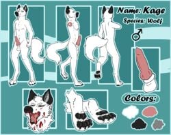 blood blood_on_face blood_on_mouth bodily_fluids canid canine canis genitals hi_res kage kylemonrow male male_only mammal model_sheet pawpads paws solo wolf