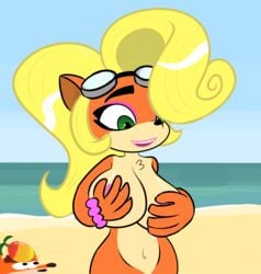 1girls anthro areola areola_slip areolae bandicoot beach blonde_hair breasts coco_bandicoot covering_breasts crash_(series) crash_bandicoot goggles hi_res holding_breasts huge_breasts large_breasts looking_down nicechan nude nude_female wumpa_fruit