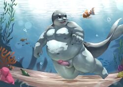 absurd_res anthro asian_clothing clothing east_asian_clothing erection fundoshi genitals hi_res japanese_clothing male male_only mammal marine overweight overweight_anthro overweight_male pawsve penis pinniped sea seal slightly_chubby slit solo swimming swimwear underwater underwear water