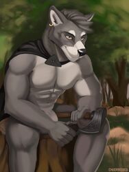 2020 3:4 absurd_res anthro axe canid canine canis cape clothing ear_piercing ear_ring forest fur gaze grass grey_body grey_fur hi_res male male_only mammal melee_weapon nude otterboxed outside painting piercing rock solo stump tasteful_nudity tomahawk tree weapon whiter_fur wolf