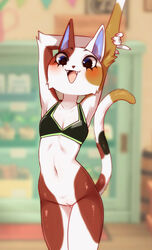 5_fingers animal_crossing anthro arm_tuft arms_above_head blue_eyes blurred_background blush bottomless bra breasts calico_cat cheek_tuft clothed clothing digital_media_(artwork) domestic_cat elbow_tufts eyelashes eyeliner facial_tuft felid feline felis female fingers fur furry furry_only genitals hi_res looking_at_viewer makeup mammal mottled nintendo open_mouth partially_clothed piebald purrl_(animal_crossing) pussy small_breasts smile solo standing tail topwear tuft underwear video_games viskasunya