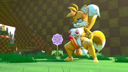 16:9 1futa 3d absurd_res anal_stretching anthro anus balls blue_eyes breasts canid canine crouching egg egg_from_ass egg_laying fox fur futanari genderswap genderswap_(mti) genitals hi_res intersex madoka_starpunch mammal mobian_(species) mti_crossgender multi_tail narrowed_eyes penis rule_63 sega solo sonic_(series) sonic_the_hedgehog_(series) source_filmmaker squint straining tails tails_the_fox tailsko watermark widescreen yellow_body yellow_fur