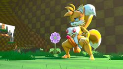 16:9 1futa 3d absurd_res anthro balls blue_eyes breasts canid canine crouching egg egg_from_ass egg_laying fox fur futanari genderswap genderswap_(mti) genitals hi_res intersex madoka_starpunch mammal mti_crossgender multi_tail narrowed_eyes penis rule_63 solo sonic_(series) sonic_the_hedgehog_(series) source_filmmaker squint straining tails tails_the_fox tailsko watermark widescreen yellow_body yellow_fur