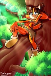 anthro badger breasts clothed clothing exhibitionism female genitals hi_res lying mammal mustelid musteline partially_clothed protagon pussy solo sonic_(series) sonic_boom sonic_the_hedgehog_(series) sticks_the_badger sticks_the_jungle_badger sticks_the_tejon tree