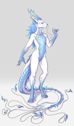 absurd_res alternate_version_at_source ambiguous_gender animal_genitalia anthro antlers asian_mythology barbel_(anatomy) blue_body blue_eyes blue_hair blue_scales digitigrade dragon east_asian_mythology eastern_dragon etis flesh_whiskers genital_slit genitals gotikamaamakitog grey_background hair hi_res horn long_tail looking_at_viewer mythology nude scales simple_background slit solo standing white_body