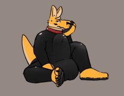 absurd_res anthro aoba_(artist) balls big_balls big_penis borges clothing collar erection erection_under_clothing foot_hands foot_transformation genitals hi_res huge_cock hyper hyper_erection_under_clothes hyper_genitalia hyper_penis kangaroo macropod male male_only mammal marsupial penis plantigrade rubber rubber_suit sitting soles solo thick_tail