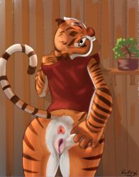 master tigress from dreamworks by limp-mongrel