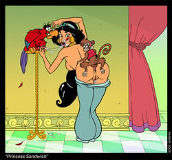 abu_(aladdin) akabur aladdin anal anal_sex arabian_clothes disney disney_princess female harem_outfit human iago male penis princess_jasmine pussy straight tagme zoophilia