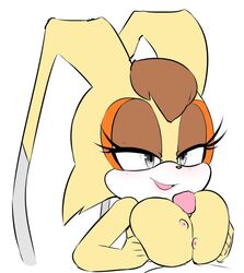 vanilla the rabbit from sonic (series) by hearlesssoul