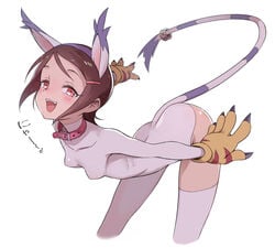 1girls animal_ears animal_tail arched_back blush brown_hair collar cosplay digimon digimon_(cosplay) dog_collar female female_focus female_only gatomon gatomon_(cosplay) hikari_yagami human looking_at_viewer nipple_bulge short_hair skinny_girl small_breasts solo solo_female tailmon tailmon_(cosplay) thighhighs toku_(ke7416613) white_background white_suit wide_hips