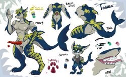 animal_humanoid anthro fish fish_humanoid hi_res humanoid kukororooo(artist) male marine marine_humanoid model_sheet shark shark_fin shark_humanoid shark_tail tobias_salazar