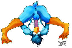 anatid anseriform anthro anus ass autofellatio avian backsack balls bird blue_body duck erection eyebrows feathers genitals hi_res humanoid_genitalia humanoid_penis looking_at_viewer male male_only masturbation membrane_(anatomy) muscular muscular_anthro muscular_male nenwef oral oral_masturbation penile penile_masturbation penis presenting presenting_hindquarters raised_eyebrow raised_tail solo spreading sweet_yissus talons webbed_feet