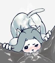 Temmie (Undertale) Rule 34 Image
