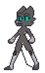 alpha_channel anthro athenafennec digital_media_(artwork) domestic_cat felid feline felis female hand_wraps knee_pads legwrap legwraps mammal n'dina nude pixel_art solo wraps