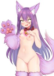 2020 absurd_res animal_humanoid bell bell_collar blush canid canid_humanoid collar collar_only corin female fur genitals hair hi_res humanoid mammal mammal_humanoid navel nekolu nipples open_mouth pawpads purple_body purple_fur purple_hair pussy simple_background solo surprise transformation uncensored white_background