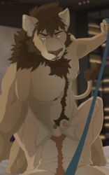 absurd_res animal_genitalia bed body_hair duo felid furniture genital_piercing genitals hi_res leash leash_pull lion male male/male mammal mane muscular muscular_male nipple_piercing nipples nude pantherine penile_spines penis piercing sheath sheath_frottage unpopularwolf