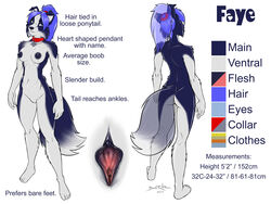 anthro black_skin blue_hair canine faye_(sexyfur) jeremy_bernal model_sheet sexyfur