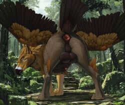 animal_genitalia anus ass avian balls beak bedroom_eyes big_anus big_balls blue_eyes brown_body brown_feathers claws curved_beak feathered_wings feathers feral forest genitals gryphon hi_res looking_at_viewer looking_back looking_back_at_viewer male mythological_avian mythological_creature mythology narrowed_eyes nature pawpads penis penis_tip perineum plant presenting presenting_hindquarters seductive sheath solo tail tail_feathers threis toe_claws tree truegrave9 wings