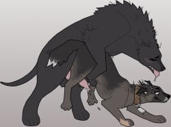 animal_genitalia animal_penis balls bodily_fluids brown_body brown_collar brown_fur canid canine canine_genitalia canine_penis canis collar domestic_dog drooling duo ejaculation erection feral feral_on_feral fur genitals grey_background grinding guncht intraspecies knot knotted_penis lifting male male/male mammal penis saliva sex simple_background size_difference smug