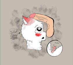 anthro assihe_(nikomation) ball_sniffing balls big_penis blush bodily_fluids domestic_cat dripping duo excited felid feline felis fur genital_fluids genitals glistening glistening_eyes glowing glowing_eyes human humanoid_genitalia humanoid_penis male male/male mammal nikomation penis penis_on_face precum saliva saliva_drip saliva_on_face small_penis sniffing steam text white_body white_fur