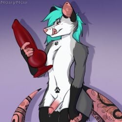 1:1 american_opossum anthro big_dildo blue_hair bodily_fluids clothing dildo fur genital_fluids genitals grey_body grey_fur hair hi_res knot legwear male mammal marsupial miavumav penis piercing precum red_eyes sex_toy simon_(miavumav) solo stockings tattoo white_body white_fur
