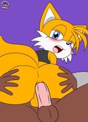 anal anal_penetration anal_sex miles_prower sega sirjzau sonic_(series) sonic_the_hedgehog_(series) tails_the_fox