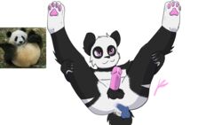 16:9 anal anal_sex anthro anus ass balls black_and_white black_body black_fur bodily_fluids cum cum_in_ass cum_inside fur genital_fluids genitals giant_panda hi_res male male_only mammal markings monochrome pawpads paws penetration penis pink_eyes pink_pawpads precum presenting rassiart smile smirk solo spread_legs spreading squishy_the_panda ursid white_body white_fur widescreen