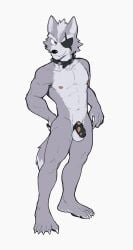 absurd_res anthro athletic athletic_anthro balls canid canine chastity_cage chastity_device claws collar countershade_face countershade_torso countershading dipstick_tail eye_patch eyebrows eyewear flaccid fur genitals grey_body grey_fur hi_res jrjresq male mammal markings nintendo nipples nude nude_anthro penis red_eyes simple_background solo spiked_collar spikes star_fox tail tail_markings thick_eyebrows white_background wolf_o'donnell