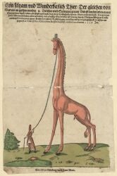 1559 16th_century absurd_res ancient_art animal_genitalia biped clothed clothed_human clothed_male clothing cloven_hooves detailed_background duo feral fully_sheathed genitals german_text giraffe giraffid halter hat headgear headwear hi_res holding_leash holding_object hooves huge_filesize human larger_feral leash leash_pull long_neck male male_feral male_human mammal mane melchior_lorck orange_body outside plant quadruped robe sheath shrub size_difference standing tail tail_tuft text traditional_media_(artwork) translation_request tuft unguligrade