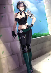 shamir nevrand from fire emblem by hocen