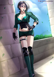 shamir nevrand from fire emblem by hocen