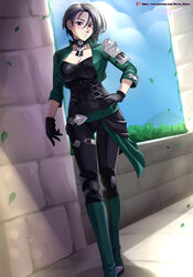 shamir nevrand from fire emblem by hocen