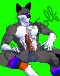 animal_genitalia animal_penis anthro balls canid canine canine_penis canis clothing feralise genitals green_screen knot legwear male male/male mammal multicolored_clothing multicolored_legwear multicolored_socks penis rykerwolf socks solo watermark wolf