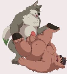 2020 anal anthro balls belly brown_body brown_fur canid canine canis dasoowolf duo eyewear fur genitals glasses hi_res male male/male mammal overweight overweight_male penis simple_background ursid white_body white_fur wolf