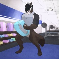 1:1 animated anthro balls bugga_beau canid canine canis clothed clothing coyote frigidmidnight genitals gym hi_res male male_only mammal masturbation penetrable_sex_toy penile penile_masturbation sex_toy sexercise short_playtime solo weight_bench weights