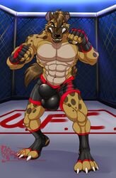 2020 4_toes 5_fingers abs anthro balls_outline biceps big_bulge black_nose blue_eyes bodily_fluids brown_body brown_hair brown_skin bulge clothing digitigrade eyebrows fighting_pose fighting_ring fingers genital_outline gloves hair handwear hi_res hungothenomster hyaenid looking_at_viewer male male_only mammal multicolored_body multicolored_skin muscular muscular_anthro muscular_male muscular_thighs muzzle_(marking) pecs penis_outline pose sharp_teeth solo spots spotted_hyena sweat tan_body tan_skin teeth tight_underwear toes two_tone_body two_tone_skin ufc underwear white_body white_skin