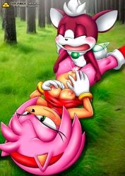 1boy 1girls amy_rose anthro bbmbbf blush breasts chip_(sonic) closed_eyes cum cum_in_pussy cum_inside female gold_level male male/female mobius_unleashed navel nipples nude open_mouth palcomix penis pietros_secret_club pussy sega sex size_difference sonic_(series) sonic_the_hedgehog_(series) sonic_unleashed tongue vaginal_penetration vaginal_sex