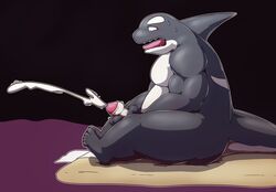 2020 anthro black_body blush bodily_fluids cetacean cum delphinoid ejaculation genital_fluids genitals kemono male male_only mammal marine oceanic_dolphin orca overweight overweight_anthro overweight_male penis sitting solo toothed_whale unagi_bukuro white_body