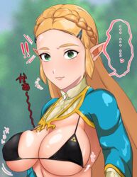 big_breasts breath_of_the_wild clothed_female female female_focus female_only kazukine long_hair princess_zelda solo solo_female solo_focus the_legend_of_zelda zelda_(breath_of_the_wild)