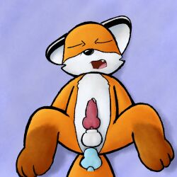 anal anal_sex animal_genitalia animal_penis anthro blue_background bodily_fluids canid canine canine_genitalia canine_penis cheek_tuft disembodied_penis duo ear_markings facial_tuft fox from_front_position fur genital_fluids genitals hi_res knot knot_root leg_markings looking_pleasured lying male male/male mammal markings missionary_position nonbinary_(lore) on_back open_mouth orange_body orange_fur paws penetration penis precum sex shaded sheath simple_background socks_(marking) spread_legs spreading tail teeth toru_(torutheredfox) torutheredfox tuft tufted_fur