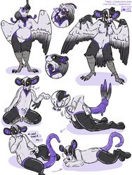 3:4 accipitriform anthro avian bird conditional_dnp denial featureless_crotch female ftm_transformation gender_transformation hi_res lustylamb mammal mouse murid murine pool_toy rodent rubber secretary_bird solo species_transformation transformation