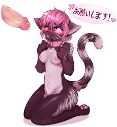 anthro breasts domestic_cat felid feline felis female genitals hi_res japanese male mammal onegai penis solo straight tr.anonymous.h