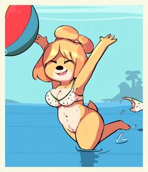 2019 animal_crossing anthro ball beach_ball bikini bikini_bottom bikini_top bottomless breasts canid canine canis cleavage clothed clothing domestic_dog female fur furry furry_only genitals hi_res isabelle_(animal_crossing) mammal nintendo partially_clothed pubes pussy sea shih_tzu solo sprocket_(artist) swimwear tail topwear toy_dog video_games wardrobe_malfunction water yellow_body yellow_fur