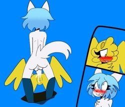 anal animal_ears animation_meme_community birdie_(youtube) blue_hair furry futanari polly_(birdie) virtual_youtuber wolfychu youtube youtuber