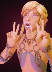 gerudo link from hyrule warriors by captain nsfw