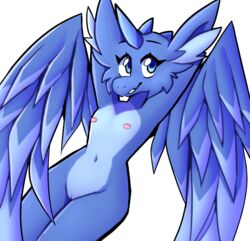 activision anthro blue_body blue_eyes cheek_tuft dragon equid equine eyelashes facial_tuft feathered_dragon feathered_wings feathers female genitals hands_behind_head horn hybrid inget lying mammal navel nipples nude on_back pussy simple_background skylanders small_breasts smile solo tuft unicorn video_games whirlwind_(skylanders) white_background wings