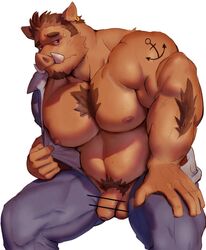 2020 anthro balls brown_body brown_fur clothing episode0006 flaccid fur genitals kemono male male_only mammal musclegut overweight overweight_anthro overweight_male penis simple_background solo suid suina sus_(pig) undressing white_background wild_boar