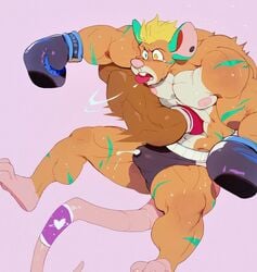 anthro bara boxing_gloves cum cum_shot cum_through_clothes ear_piercing erection furry gay male male_only mouse orgasm punch scars shocked_expression sweating tongue tongue_out uleez uleezoo