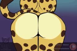 2020 animated anthro anus ass ass_clapping batartcave butt_shot felid feline female fur furry furry_only genitals mammal nude ocelot pussy rear_view short_playtime solo spots tail twerking